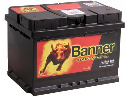 Autobaterie Banner Starting Bull 12V 55Ah 450A 555 19